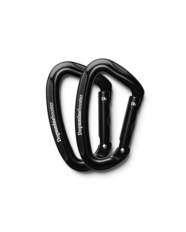 Carabiner_5f172053-24a7-456b-81e1-23674c662a29.png